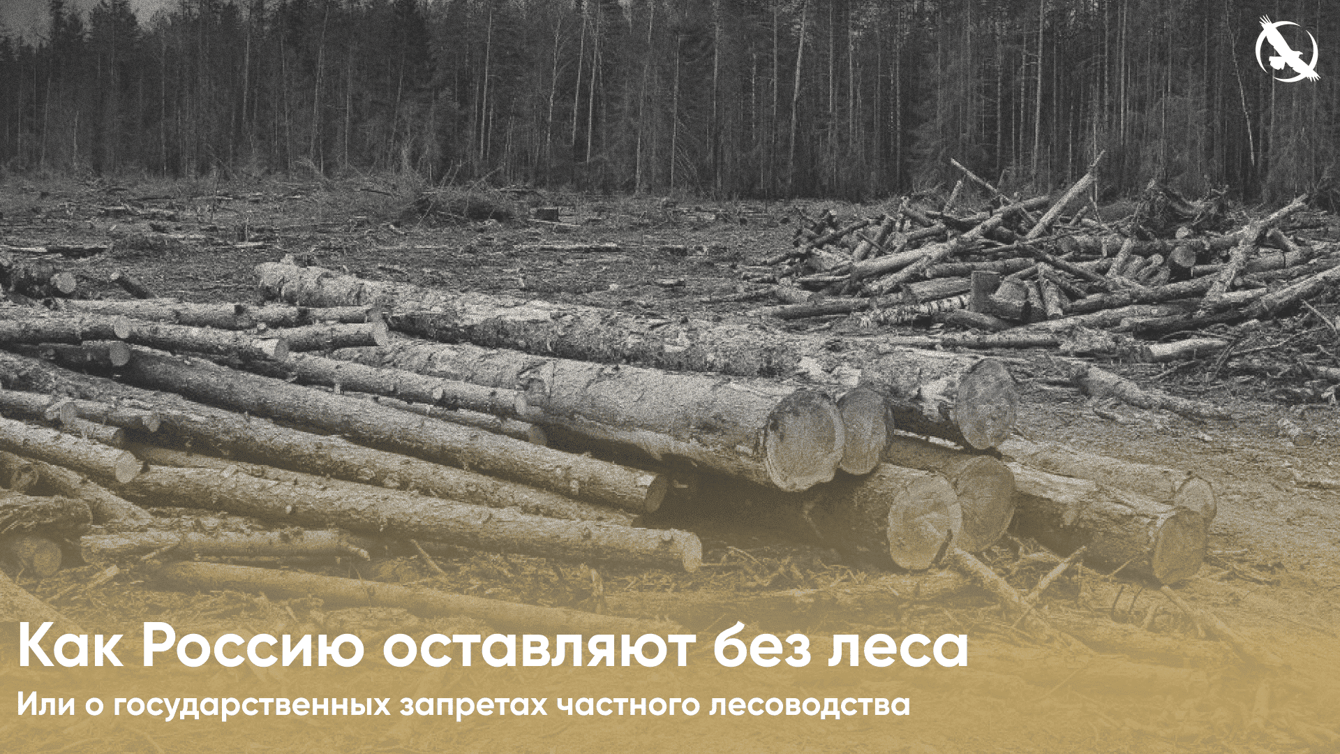 лес
