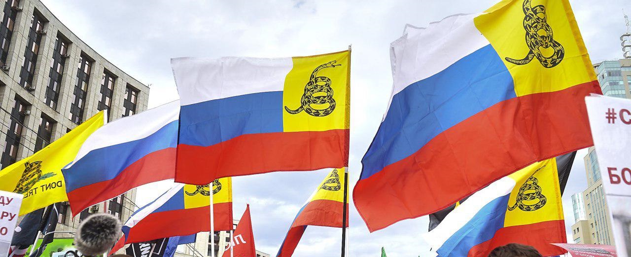 либертарианская